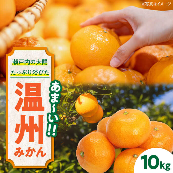 7位! 口コミ数「0件」評価「0」【先行予約】【11月下旬から順次発送】おひさまの光をいっぱい浴びて育ちました！新鮮！温州みかん 10kg　果物 フルーツ みかん ミカン 温･･･ 