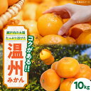 【ふるさと納税】【先行予約】【11月下旬から順次発送】 温州みかん(南柑20号) 10kg | 人気 おすすめ ランキング おいしい 甘い 温州みかん 果物 フ...