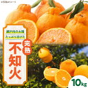 【ふるさと納税】【2026年2月下旬から順次発送】 完熟 不知火 10kg | 人気 おすすめ ランキング おいしい 甘い 果物 フルーツ みかん ミカン 不知...