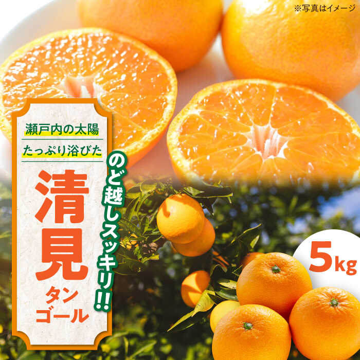 【ふるさと納税】【先行予約】【2025年3月下旬から順次発送】食べ応え抜群 こどもから大人まで楽しめる 清見タンゴール 5kg 果物 フルーツ みかん ミカン オレンジ 愛媛県大洲市/永沼農園[AGAW…