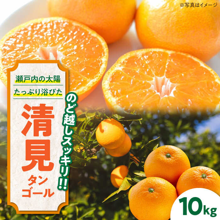 【ふるさと納税】【先行予約】【2025年3月下旬から順次発送】食べ応え抜群 こどもから大人まで楽しめる 清見タンゴール 10kg 果物 フルーツ みかん ミカン オレンジ 愛媛県大洲市/永沼農園[AGA…