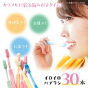 【ふるさと納税】イロイロハブラシ 30本セット | 人気 おすすめ ランキング 歯ブラシ 歯磨き 歯みがき 日用品 使い捨て 大洲市/アイテック[AGAX001...