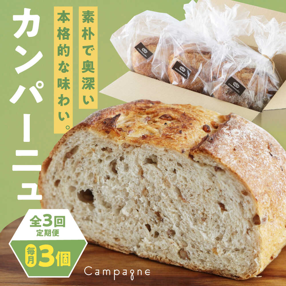 【ふるさと納税】カンパーニュ 【全3回定期便】【冷凍】3種セット (プレーン・いちじく・五穀) おすすめ 人気 定期便 パン 詰め合わせ 食べ比べ 天然酵母 ベ...