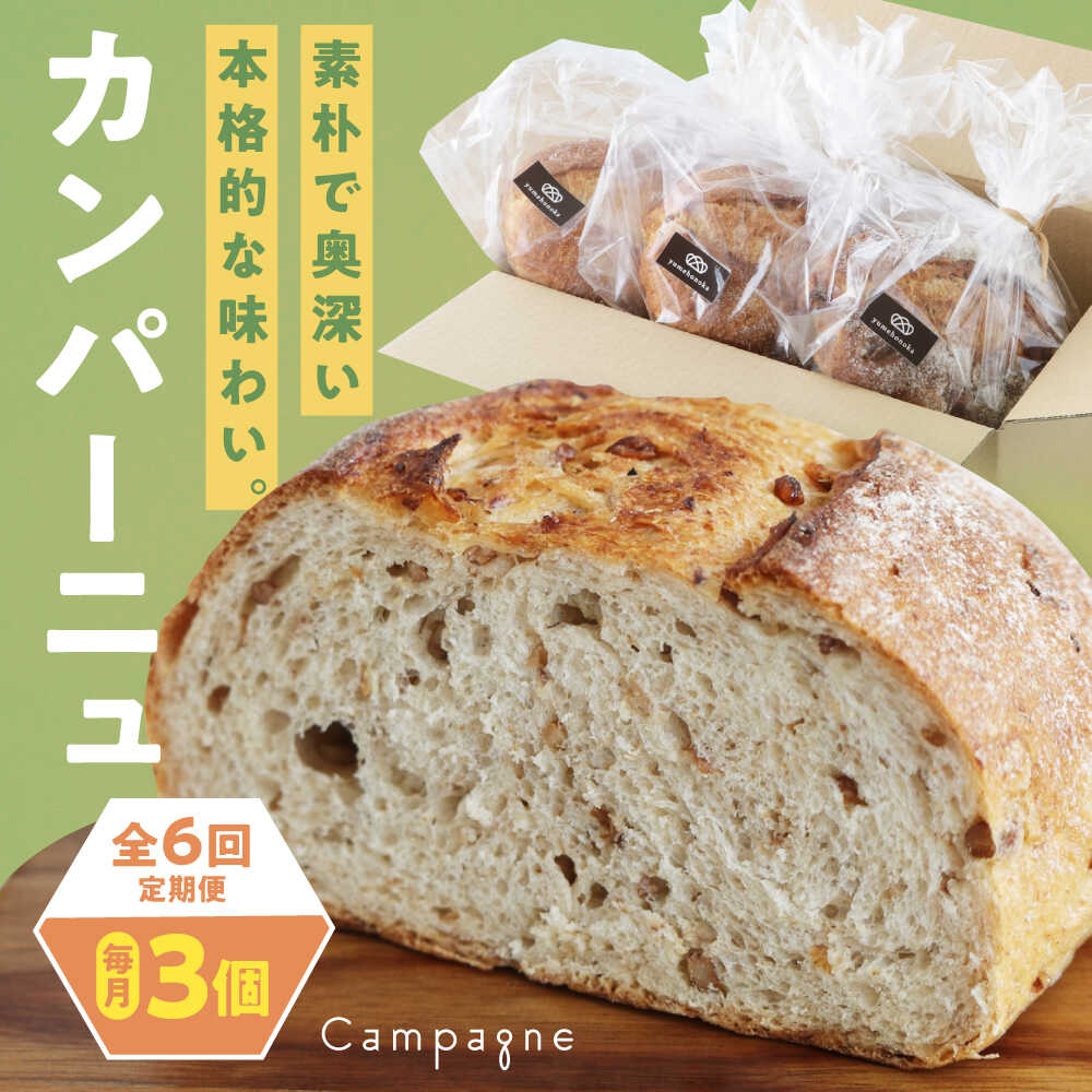 【ふるさと納税】カンパーニュ 【全6回定期便】【冷凍】3種セット (プレーン・いちじく・五穀) おすすめ 人気 定期便 パン 詰め合わせ 食べ比べ 天然酵母 ベ...
