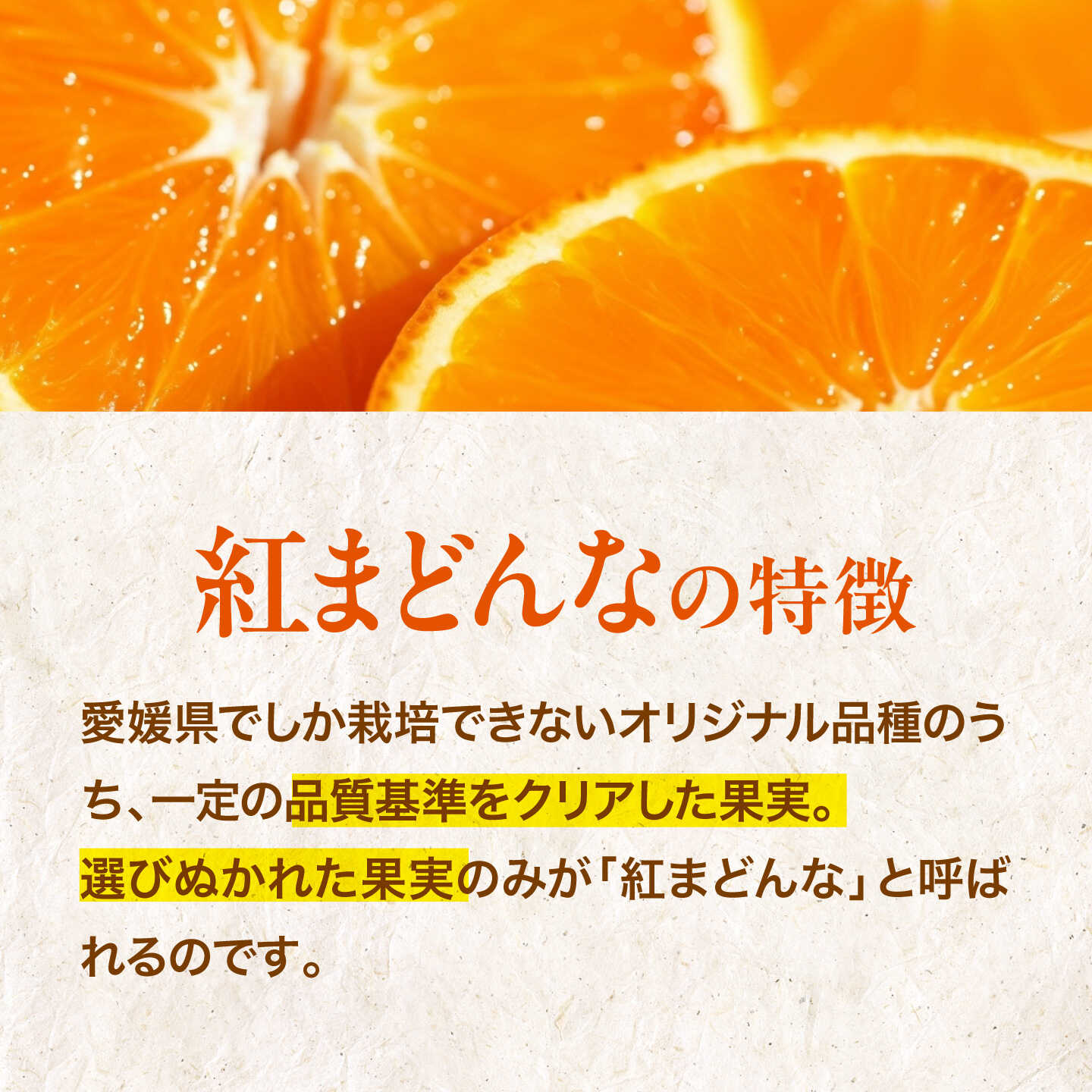 【ふるさと納税】 紅まどんな 赤秀 3個入（JA愛媛たいき管内産）【11月下旬から順次発送】 大洲市/フジ アグリフーズ[AGBA004] 先行予約 みかん ミカン 蜜柑 紅マドンナ 果物 くだもの フルーツ 愛媛県産 大洲市産 産地直送 おすすめ 人気 お取り寄せ 送料無料 贈答 ギフト f382078-ozu-10000884 愛媛県大洲市 サンプル画像3