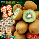 【ふるさと納税】キウイフルーツ【先行予約】【2026年1月中旬から順次発送】愛媛県産 グリーンキウイ 10玉〜12玉入| 人気 おすすめ ランキング おいしい ...