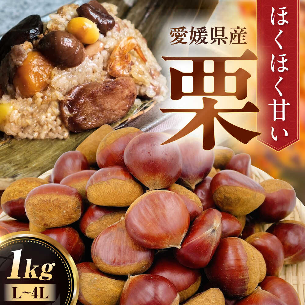 栗【先行予約】【9月下旬より順次発送】栗1kg（L〜4Lサイズ） 大洲市/フジ・アグリフーズ [AGBA020]栗 テリーヌ 甘露煮 栗ごはん 栗の渋皮煮 秋の味覚 くり 和菓子 栗ご飯 栗きんとん スイーツ クリ モンブラン マロン 栗 くり 果物 秋果物 フルーツ