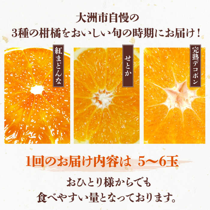 【ふるさと納税】【全3回定期便】 大洲の旬果をお届け！柑橘定期便 大洲市/フジ アグリフーズ[AGBA021] 先行予約 みかん ミカン 紅マドンナ 紅まどんな 果物 くだもの フルーツ 愛媛県産 大洲市産 産地直送 おすすめ 人気 お取り寄せ 送料無料 贈答 ギフト