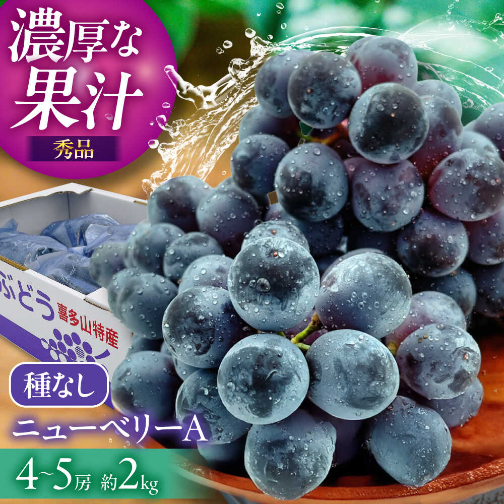【ふるさと納税】【先行予約】【2026年8月中旬から順次発送】大洲市産 ニューベリーA 4-5房入 2.0kg 愛媛県大洲市/株式会社フジ・アグリフーズ[AGBA024] ニューベリーA 種無し 種なし 種無し 大粒 高級 新鮮 厳選 贅沢 人気 美味しい おいしい 甘い おすすめ オススメ