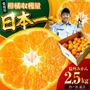 【ふるさと納税】【10月より順次発送】 温州みかん 2.5kg (2Sから2L混合サイズ) | 人気 おすすめ ランキング おいしい 甘い 愛媛 果物 くだもの...