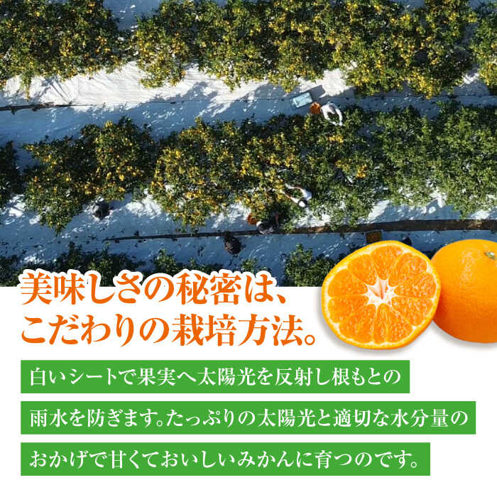 【ふるさと納税】みかん【先行予約】【選べる容量】温州みかん 1-10kg （2S〜2L混合サイズ） 大洲市/玉川農園[AGBC005] 先行予約 みかん 蜜柑 温州みかん 果物 くだもの フルーツ 愛媛県産 大洲市産 産地直送 おすすめ 人気 お取り寄せ 送料無料 贈答 ギフト f382078-ozu-10001426 愛媛県大洲市 サンプル画像3