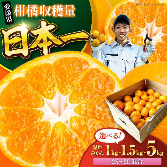 みかん[先行予約][選べる容量]温州みかん 1-10kg (2S〜2L混合サイズ) 大洲市/玉川農園[AGBC005] 先行予約 みかん 蜜柑 温州みかん 果物 くだもの フルーツ 愛媛県産 大洲市産 産地直送 おすすめ 人気 お取り寄せ 送料無料 贈答 ギフト