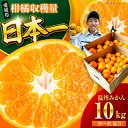 【ふるさと納税】【10月より順次発送】 温州みかん 10kg (2Sから2L混合サイズ) | 人気 おすすめ ランキング おいしい 甘い 柑橘 大洲市/玉川農園...