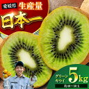 【ふるさと納税】【先行予約】【11月中旬より順次配送】 グリーン キウイ 5kg (約40から50玉) | 人気 おすすめ ランキング おいしい 甘い 大洲市/...