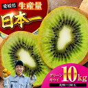 【ふるさと納税】【先行予約】【11月中旬より順次配送】 グリーンキウイ 10kg (約90から100玉) | 人気 おすすめ ランキング おいしい 甘い 大洲市...