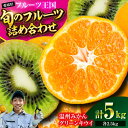 【ふるさと納税】【先行予約】【12月上旬より順次発送】 フルーツ セット 温州みかん 2.5kg グリーンキウイ 2.5kg (20〜25玉) | 人気 おすす...