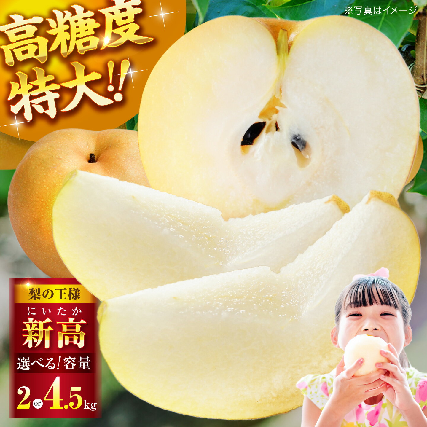 Niitaka - 【ふるさと納税】梨 【先行予約】【2026年10月上旬から順次発送】【選べる容量】「梨の王様」特大新高 梨2kg （4個から6個入り）or 4.5kg（6個から8個入り） | ランキング おいしい 甘い ナシ 果物 くだもの 家庭用 国産 大洲市/幸野観光なし園[AGBD001] 15000円 以上