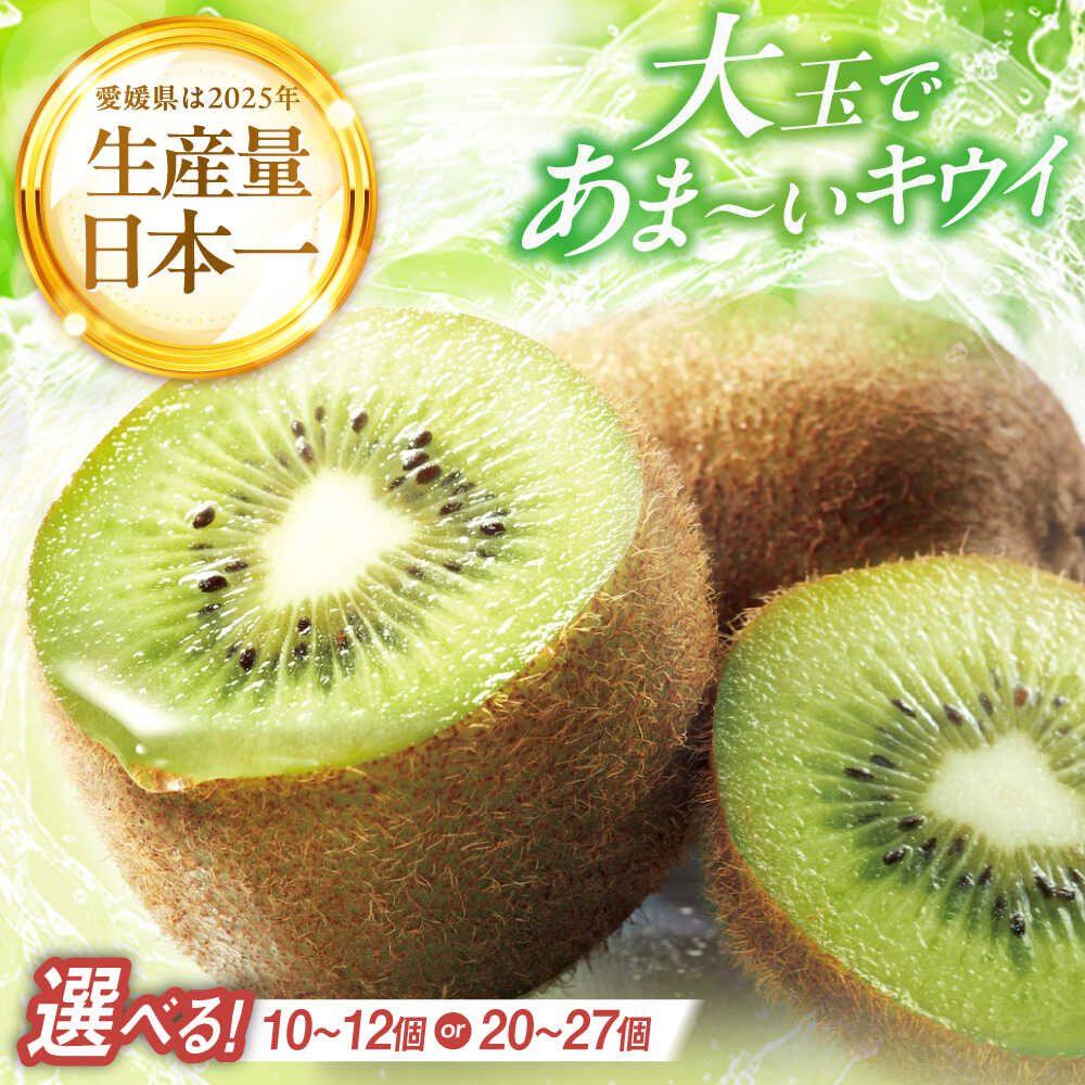 [先行予約][選べる容量][2026年12月中旬から2027年2月上旬にかけて順次発送] キウイフルーツ (10個〜12個入り)or(20個〜27個入り) 送料無料 国産 愛媛県産 家庭用 旬 大洲市/幸野観光なし園[AGBD004] 大洲市産 おすすめ 人気