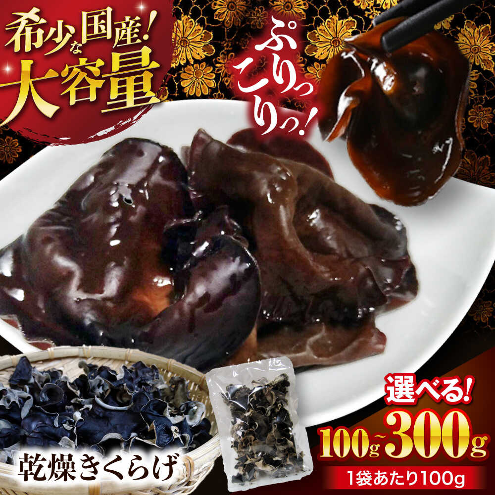 【ふるさと納税】きくらげ【希少な国産品】【選べる!大容量】大洲産 乾燥きくらげ (100g〜300g) 佃煮 中華 炒め物 スープ 食物繊維 ビタミンD 鉄分 ...