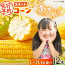 【ふるさと納税】【先行予約】【6月上旬より順次発送】あま〜いスイートコーン(L〜2Lサイズ)12本入り | 人気 おすすめ ランキング おいしい 大洲市/沢井青...