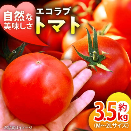 自然な美味しさ、たっぷり味わう。エコラブトマトM～2Lサイズ（20～24玉）約3.5kg　野菜 サラダ トマト とまと 完熟トマト 愛媛県大洲市/沢井青果有限会社