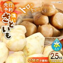 【ふるさと納税】 洗い 里芋 2.0kg(500g×4袋) | 人気 おすすめ ランキング おいしい 里芋 野菜 芋 いも 和食 煮物 おでん サトイモ 大洲市...