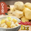 【ふるさと納税】【9月下旬より順次発送】ムキ栗 1.0kg(真空パック) | 人気 おすすめ ランキング おいしい 甘い クリ くり くだもの 果物 フルーツ ...
