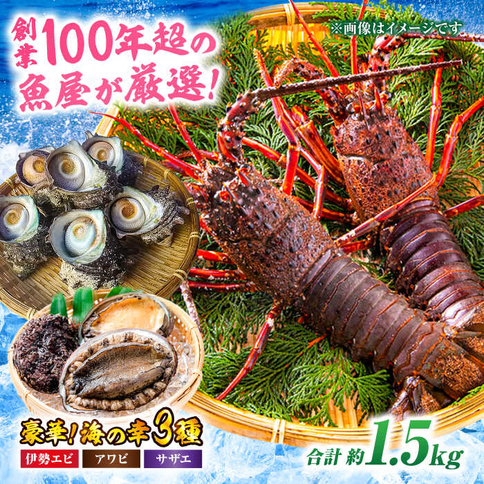 老舗鮮魚店の厳選!豪華天然魚介3種セット!(イセエビ約300g・アワビ約200g・サザエ約1kg) イセエビ アワビ サザエ 魚介類 鮮魚 愛媛県大洲市/天然活魚 濱 屋[AGBP005]