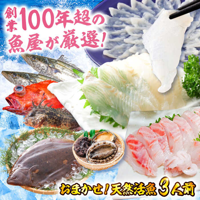 【ふるさと納税】魚のプロが厳選した瀬戸内の旬の味！何が届くのかはお楽しみ♪「天然活魚おまかせセッ..