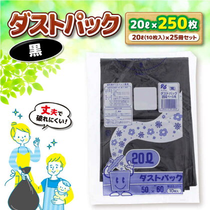 袋で始めるエコな日常！地球にやさしい！ダストパック　20L　黒（10枚入）×25冊セット　ポリゴミ袋 ポリごみ袋 エコゴミ袋 エコごみ袋 愛媛県大洲市/日泉ポリテック株式会社[AGBR035]