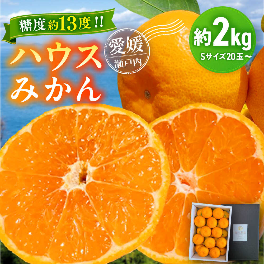 [先行予約][夏限定]愛媛県産 峯田農園のあま〜い「ハウスみかん」2kg 果物 フルーツ みかん ミカン ハウスみかん 愛媛県大洲市/峯田農園[AGBT001]