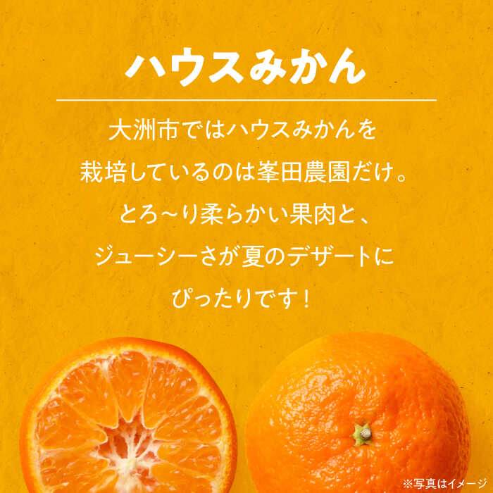 【ふるさと納税】【先行予約】【夏限定】愛媛県産 峯田農園のあま～い「ハウスみかん」3kg 果物 フルーツ みかん ミカン ハウスみかん 愛媛県大洲市/峯田農園[AGBT002]