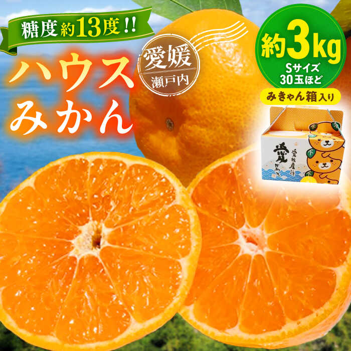 [先行予約][夏限定]愛媛県産 峯田農園のあま〜い「ハウスみかん」3kg[みきゃん箱入] 果物 フルーツ みかん ミカン ハウスみかん 愛媛県大洲市/峯田農園[AGBT003]