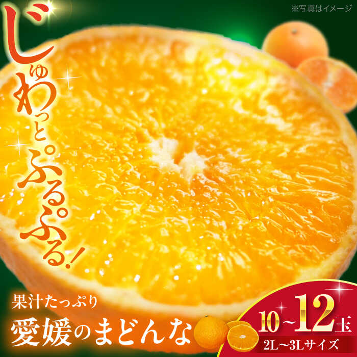 23位! 口コミ数「0件」評価「0」【先行予約】【11月下旬から順次発送】愛媛県産 峯田農園のとろける宝石柑橘「まどんな」2L～3Lサイズ 10～12玉 果物 果物 フルーツ ･･･ 