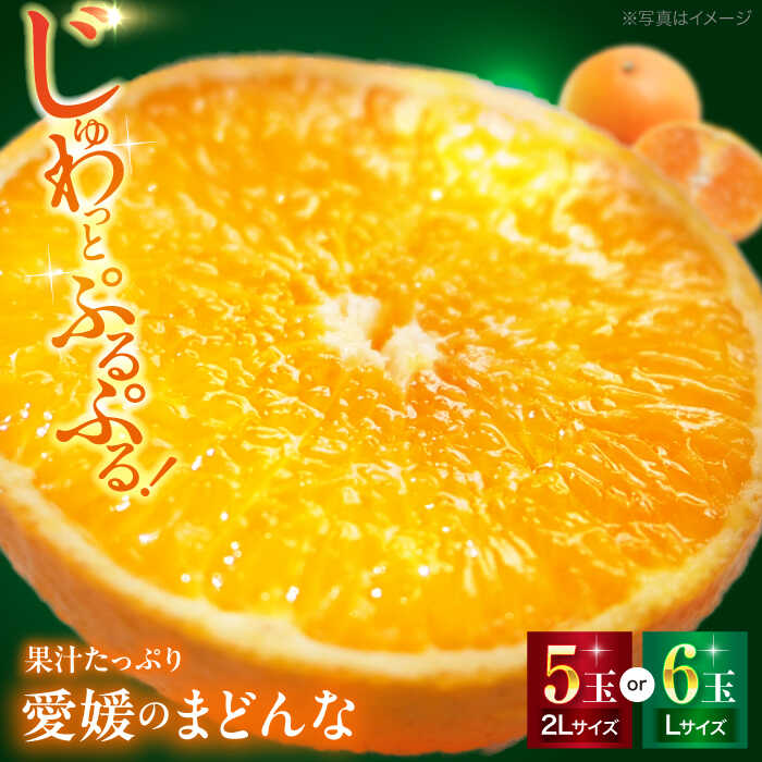 9位! 口コミ数「0件」評価「0」【先行予約】【11月下旬から順次発送】愛媛県産 峯田農園のとろける宝石柑橘「まどんな」2Lサイズ5玉又はLサイズ6玉 果物 フルーツ みかん･･･ 