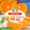 【ふるさと納税】愛媛県産 プレミアム柑橘5kgセット（ハウス