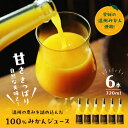 【ふるさと納税】愛媛県産 大人気の手作り「温州みかん」100