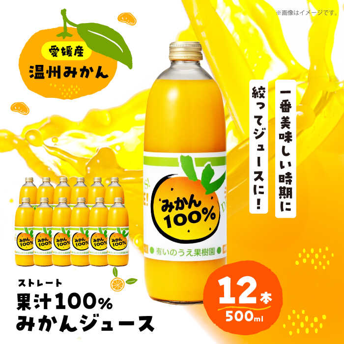 【ふるさと納税】ジュース 温州みかんジュース ストレート 500ml × 12本 | 人気 おすすめ ランキング おいしい 甘い 国産 愛媛 フルーツ ギフト ...