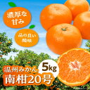 【ふるさと納税】【12月上旬から順次発送】 温州みかん 南柑20号 5kg | 人気 おすすめ ランキング おいしい 甘い ミカン 果物 くだもの フルーツ 大...