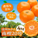 【ふるさと納税】【先行予約】【12月上旬から順次発送】 温州みかん 南柑20号 約4kg 【まごころ手選り手詰め】 | 人気 おすすめ ランキング おいしい 甘...