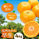 【ふるさと納税】【先行予約】【11月から順次発送】温州 みかん 早生 約4kg | 人気 おすすめ ランキング おいしい 甘い ミカン 果物 くだもの フルーツ...