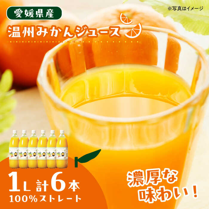 【ふるさと納税】柑橘のおいしさをギュッとお届け！柑橘王国果物