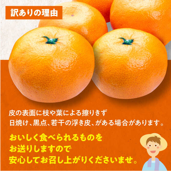 【ふるさと納税】【全2回定期便】【11月中旬と12月中旬の2回発送】【訳あり】 温州みかん 10kg 柑橘 大洲市/カームシトラス[AGBW008] 先行予約 みかん 訳あり ミカン 蜜柑 果物 くだもの フルーツ 愛媛県産 大洲市産 産地直送 おすすめ 人気 お取り寄せ 送料無料 贈答 ギフト