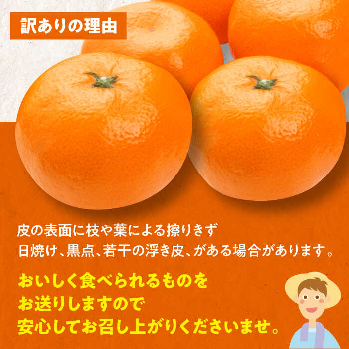 愛媛県大洲市の画像2