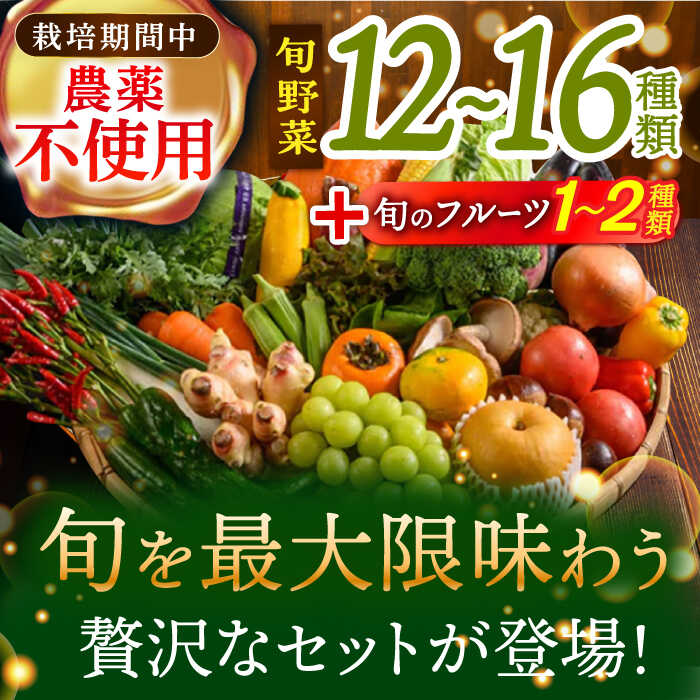 【ふるさと納税】栽培期間中農薬不使用！旬のお野菜セット×もぎたてフルーツセット　農薬不使用 野菜 フルーツ 果物 果物セット 愛媛県大洲市/有限会社ヒロファミリーフーズ [AGBX006]