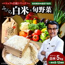 【ふるさと納税】 旬 の 野菜 セット × 白米 5kg 詰め合わせ | 人気 おすすめ ランキング おいしい 農薬 不使用 野菜 白米 お米 新鮮 大洲市/ヒ...