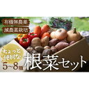 28位! 口コミ数「0件」評価「0」あったら嬉しい根菜セット×おまかせ旬野菜　サラダ 新鮮野菜 セット 根菜 詰め合わせ 愛媛県大洲市/有限会社ヒロファミリーフーズ [AGBX･･･ 