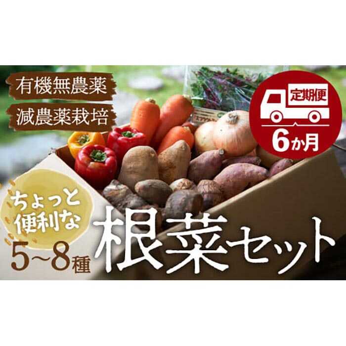 【ふるさと納税】【全6回定期便】あったら嬉しい根菜セット×おまかせ旬野菜　サラダ 新鮮野菜 セット 根菜 詰め合わせ 愛媛県大洲市/有限会社ヒロファミリーフーズ [AGBX013]