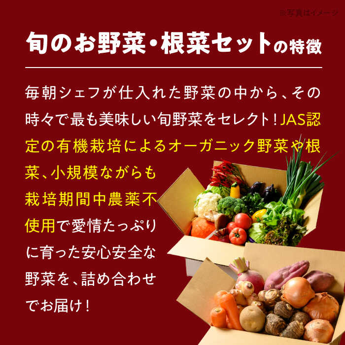 【ふるさと納税】【全12回定期便】あったら嬉しい根菜セット×おまかせ旬野菜　愛媛県大洲市/有限会社ヒロファミリーフーズ [AGBX014]