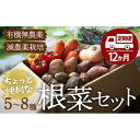 11位! 口コミ数「0件」評価「0」【全12回定期便】あったら嬉しい根菜セット×おまかせ旬野菜　愛媛県大洲市/有限会社ヒロファミリーフーズ [AGBX014]